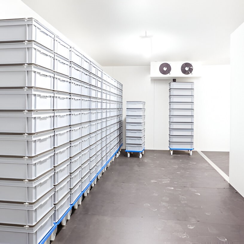 steptodown.com990058 fitness 12-1080